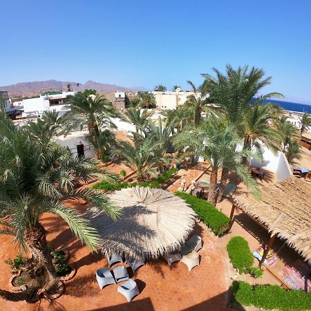 Miramar Camp Dahab Hotel Luaran gambar