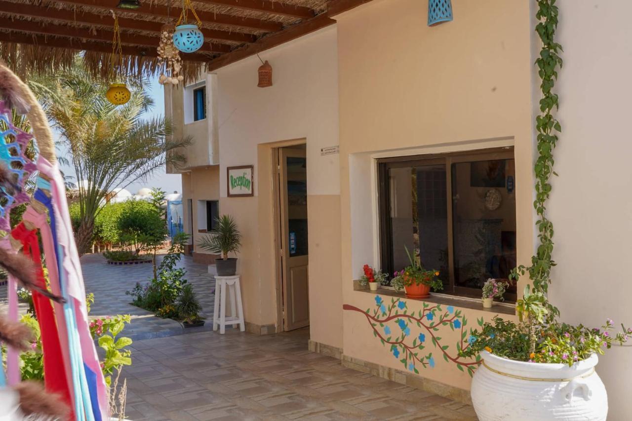 Miramar Camp Dahab Hotel Luaran gambar