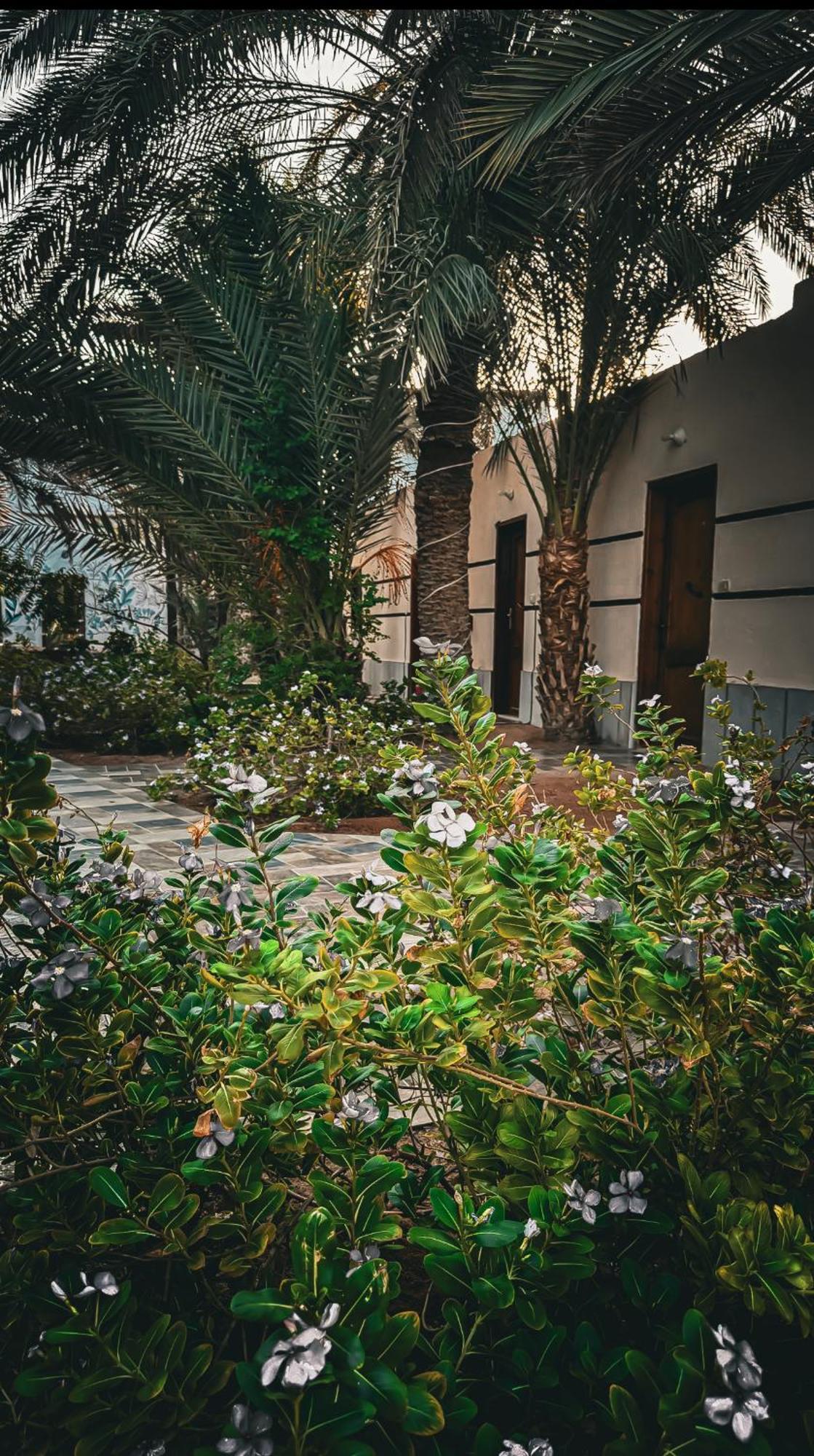Miramar Camp Dahab Hotel Luaran gambar