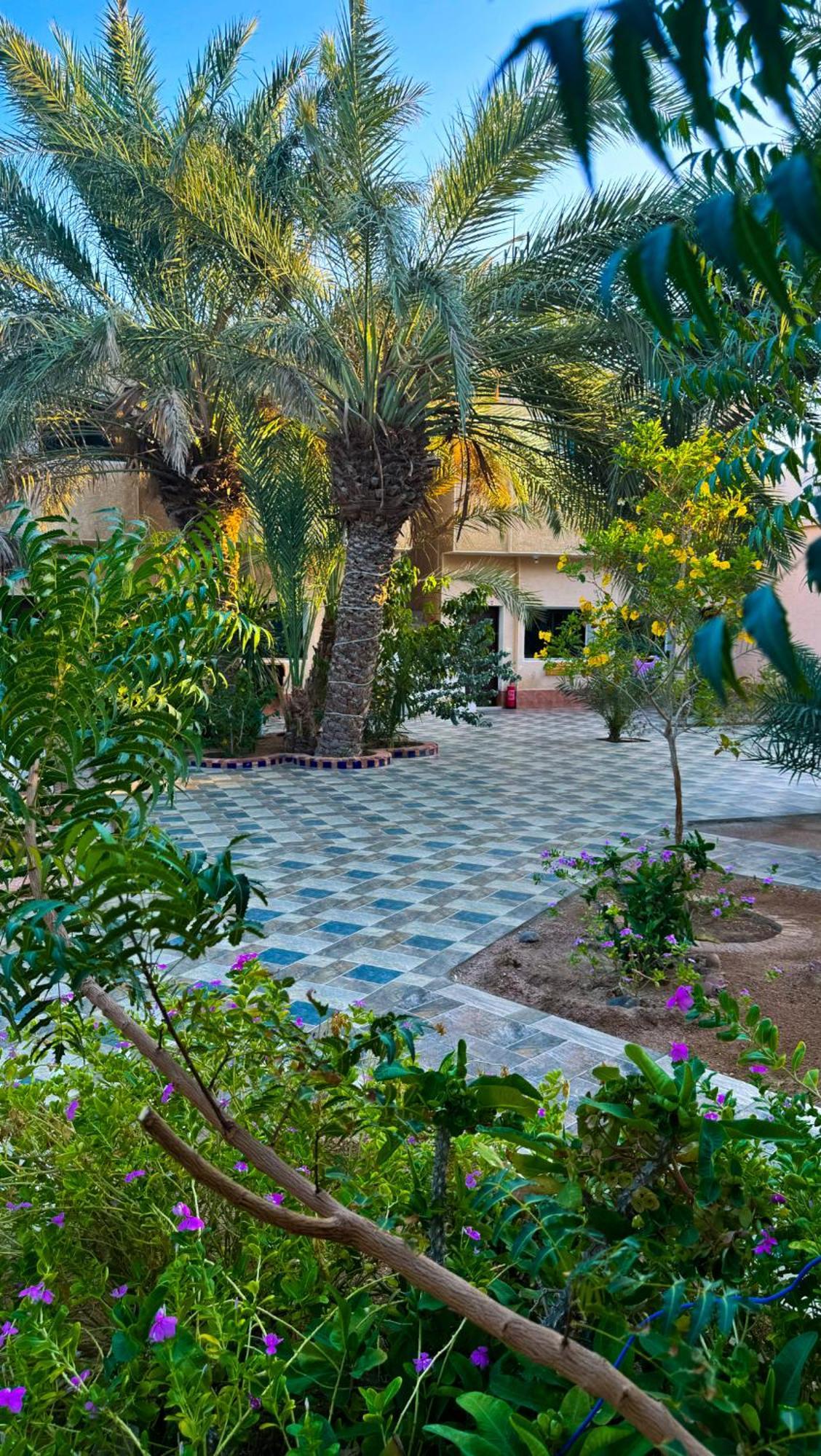 Miramar Camp Dahab Hotel Luaran gambar