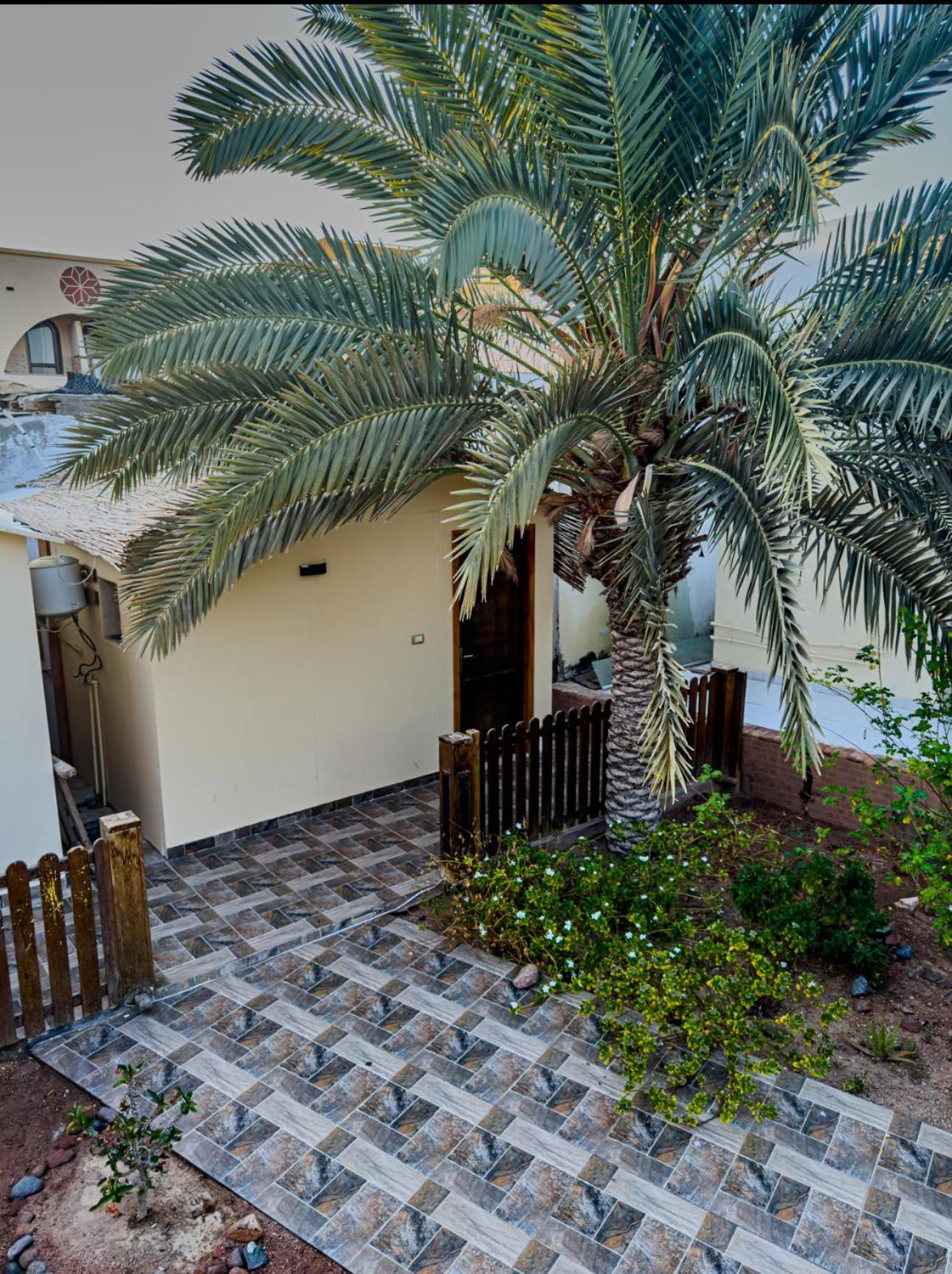 Miramar Camp Dahab Hotel Luaran gambar