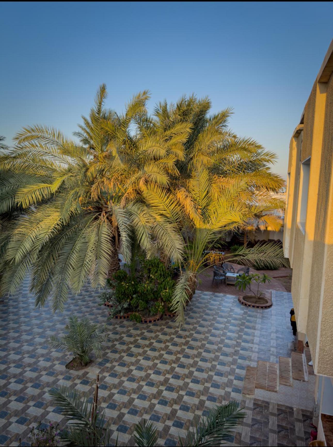 Miramar Camp Dahab Hotel Luaran gambar