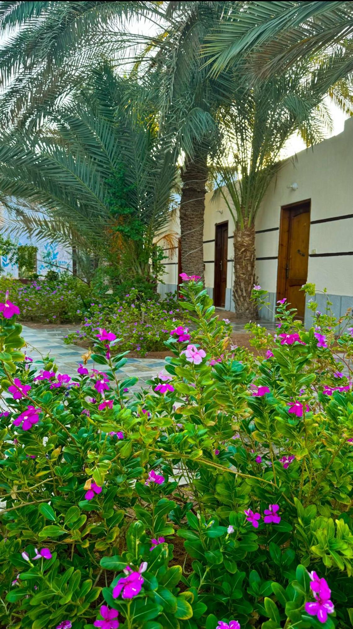 Miramar Camp Dahab Hotel Luaran gambar