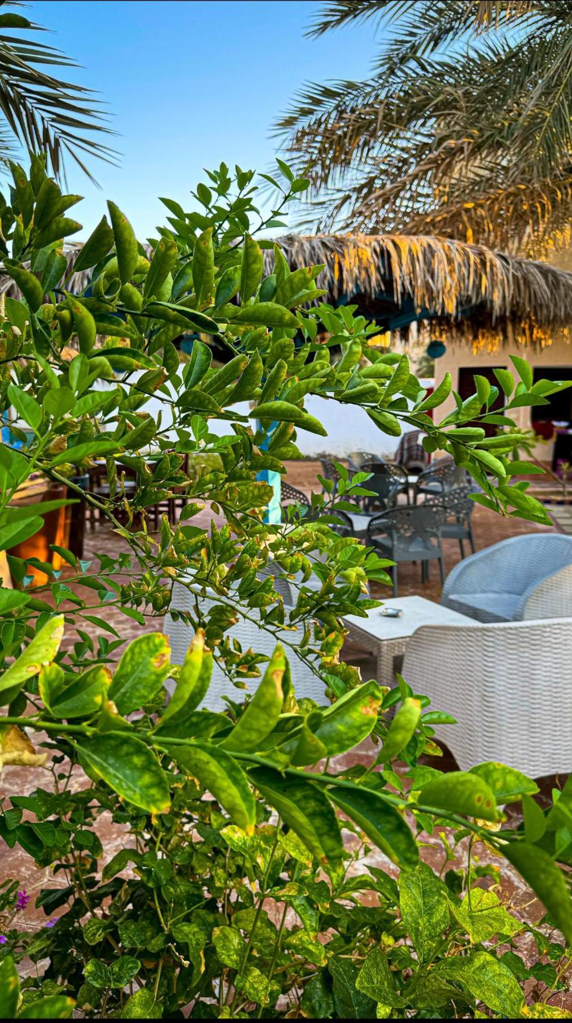 Miramar Camp Dahab Hotel Luaran gambar