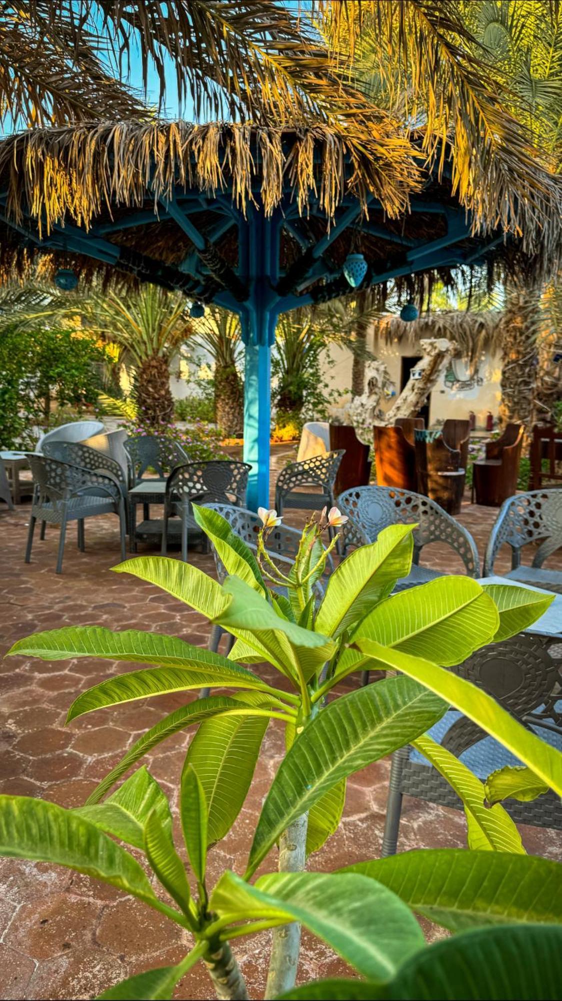 Miramar Camp Dahab Hotel Luaran gambar