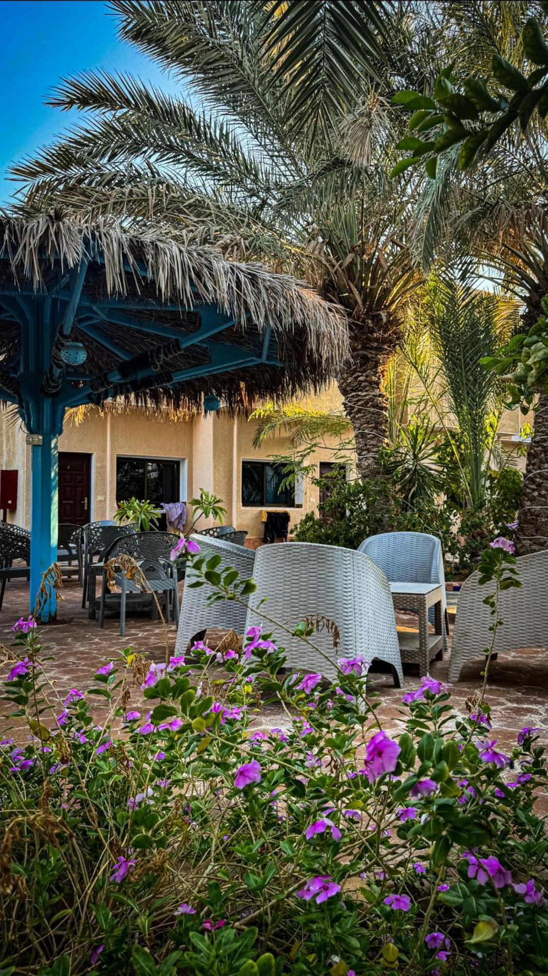 Miramar Camp Dahab Hotel Luaran gambar