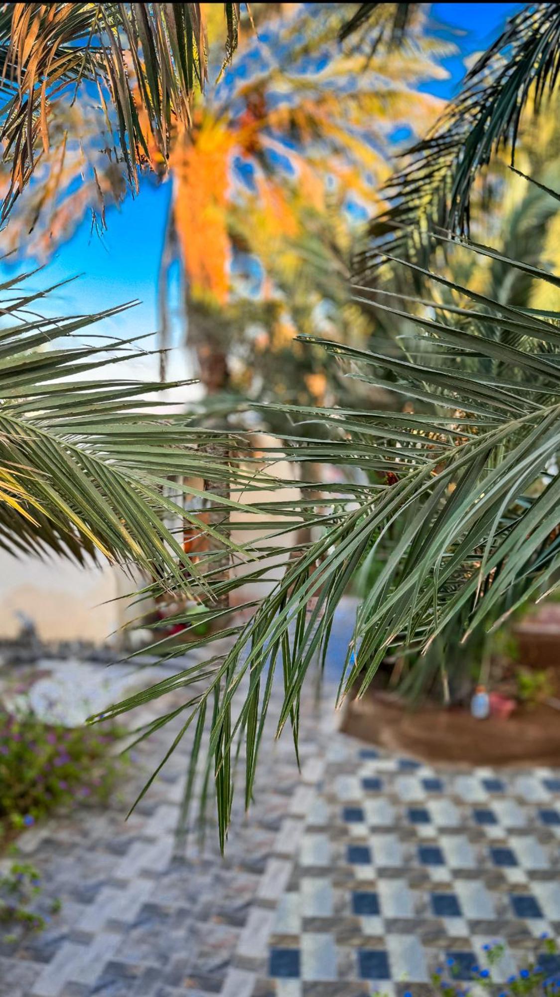 Miramar Camp Dahab Hotel Luaran gambar