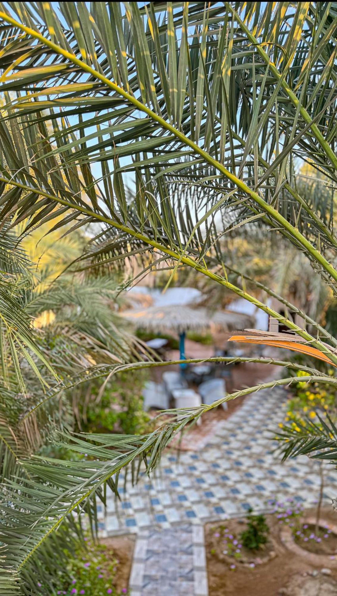 Miramar Camp Dahab Hotel Luaran gambar