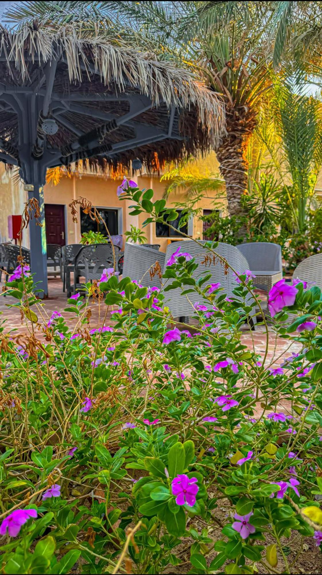 Miramar Camp Dahab Hotel Luaran gambar