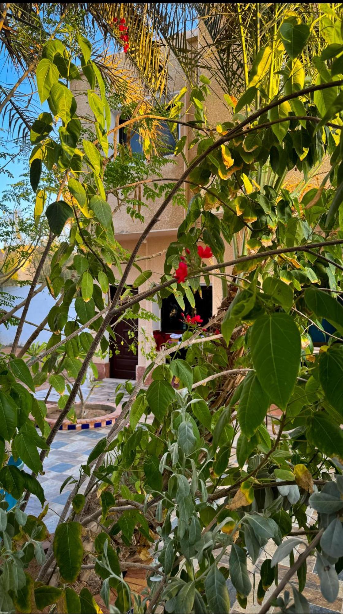 Miramar Camp Dahab Hotel Luaran gambar