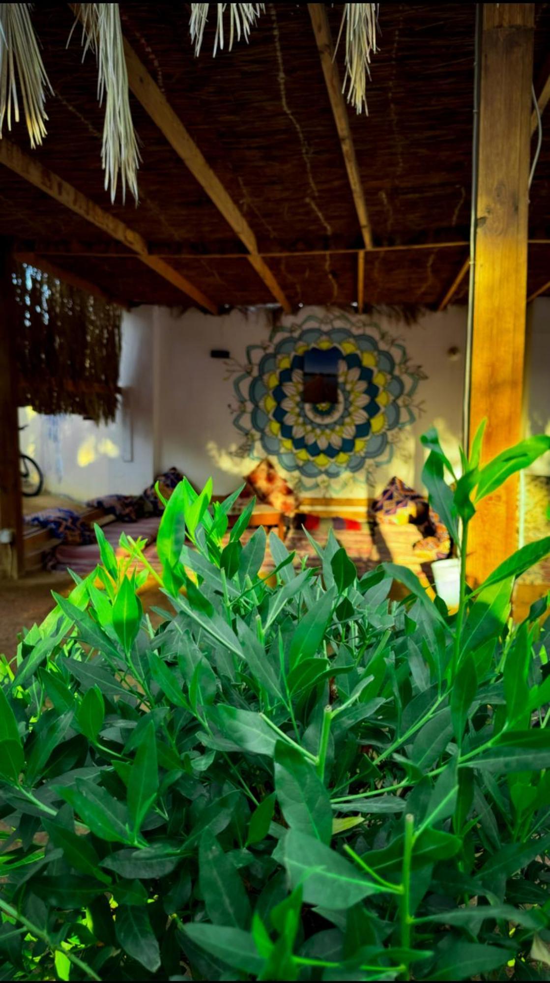 Miramar Camp Dahab Hotel Luaran gambar