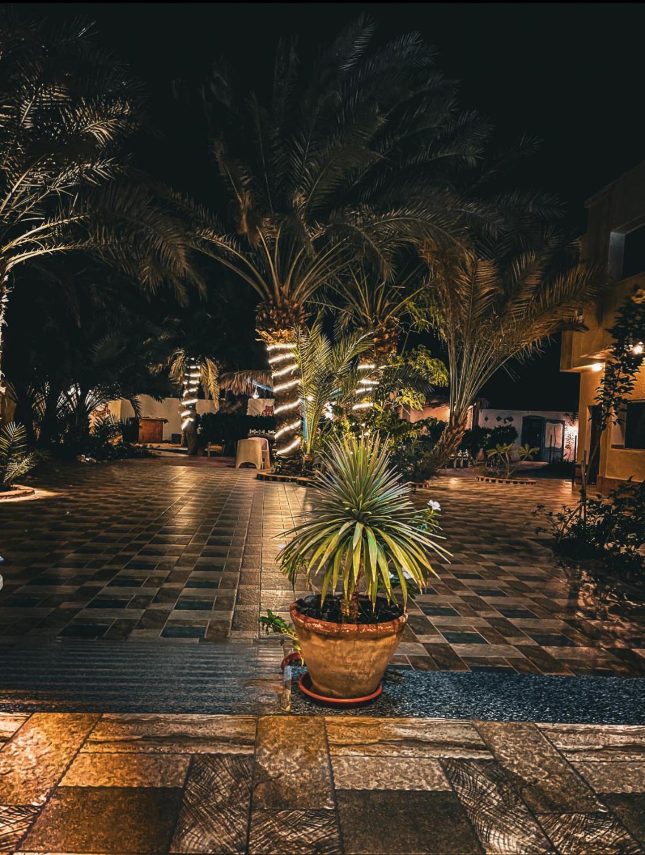 Miramar Camp Dahab Hotel Luaran gambar