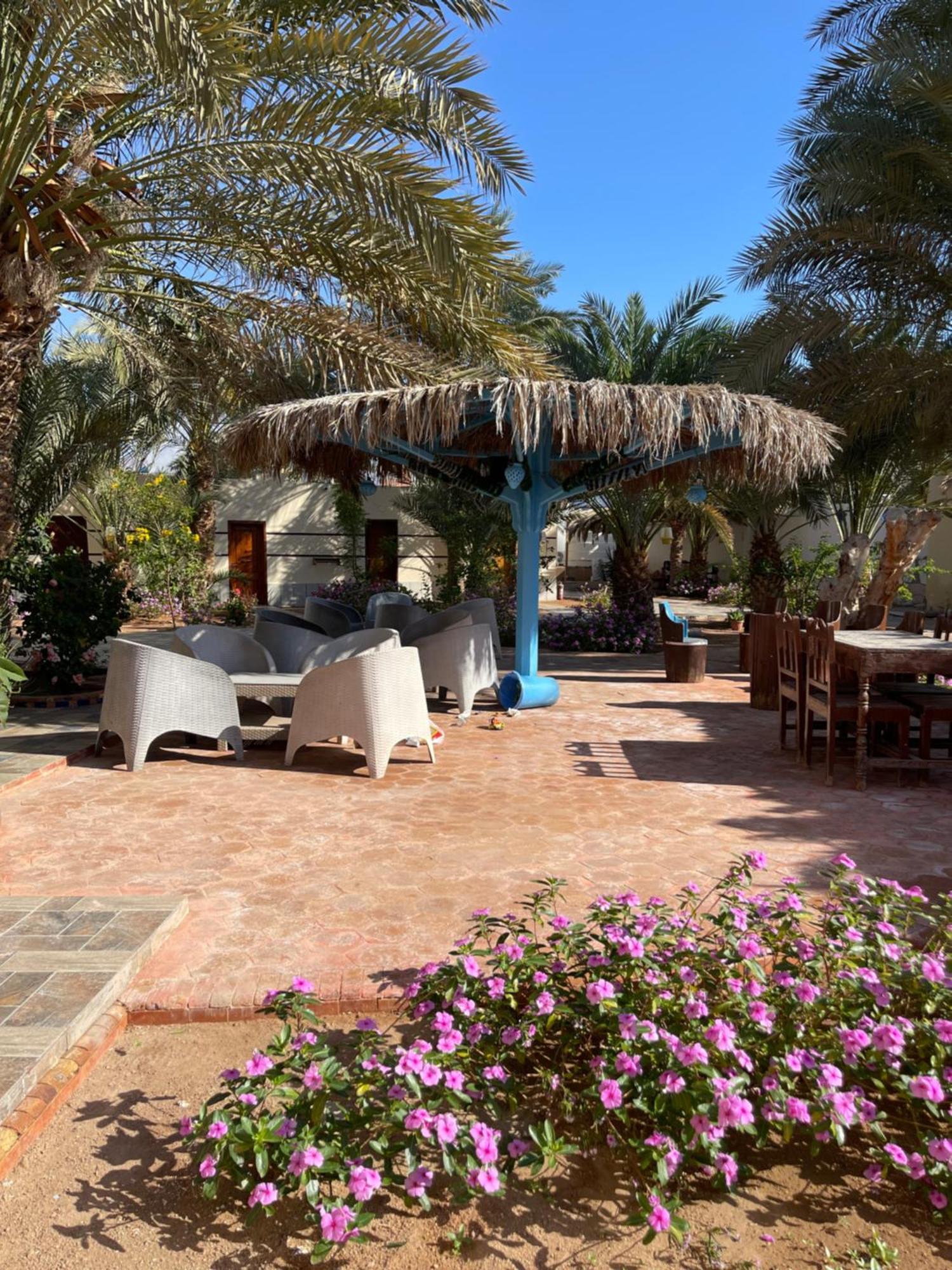 Miramar Camp Dahab Hotel Luaran gambar