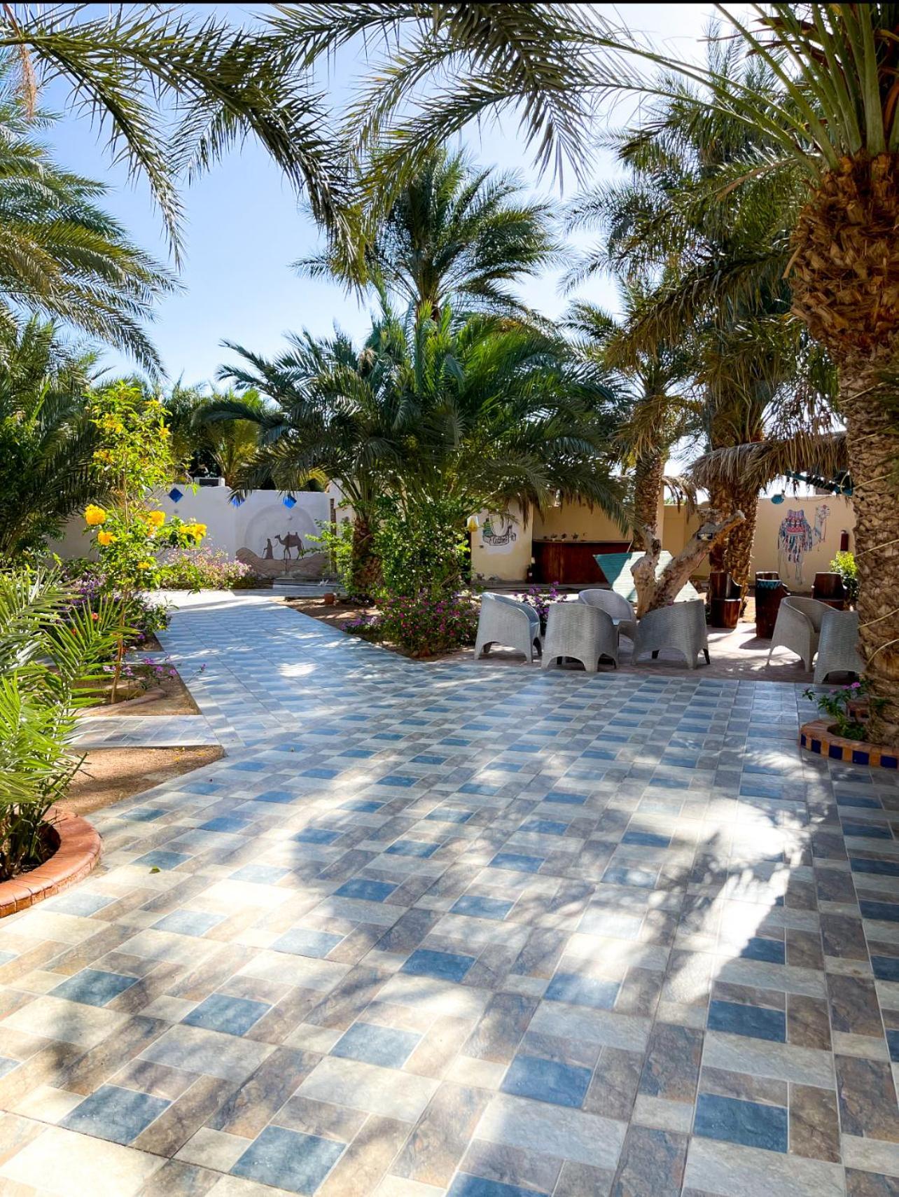 Miramar Camp Dahab Hotel Luaran gambar